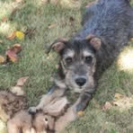 Becky Prothro - Facebook
