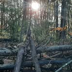 Becky Radabaugh - Facebook
