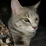 Becky Jim Ragan - @becky.ragan.9 - Instagram