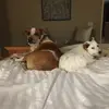 beckydragan - @beckydragan - TikTok