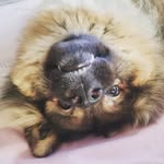 Becky Randall - @beckyrandall1029 - Instagram