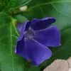 Becky Randall - @becky.randall1 - TikTok