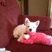 Becky Linville Rexrode - Facebook