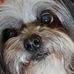 Becky Ritz - Facebook