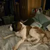 beckyfritz239 - @beckyfritz239 - TikTok