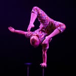 Becky Robins - @beckycirque - Instagram