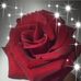Becky Robles - Facebook