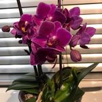 Becky Rodda - @roddabecky - Instagram