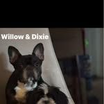 Becky Rouse Mitchell - @bulldogmom13 - Instagram