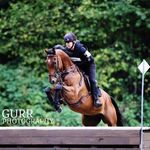 Becky Rowan - @rlsporthorses - Instagram