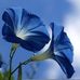 Becky Rowe - Facebook