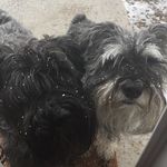 Becky Rowles - @browles78 - Instagram