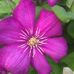 Becky Ruchti - Facebook