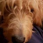 Becky Ruchti Greenberg - Facebook