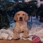 Becky Walker-Rudd - @beckywalkerrudd - Instagram