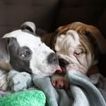 Rumble & Becky - @rumblewithbecky - Instagram