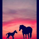 Becky Rushforth - @beckyrushforth10 - Instagram