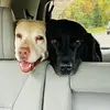 beckyrust922 - @beckyrust922 - TikTok