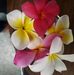 Becky Rutherford - Facebook