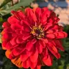 beckyrutherford31 - @beckyrutherford31 - TikTok