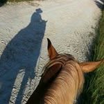 Becky Ryals - @groovymarieryals - Instagram