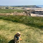 Becky Sadler - @becky_interior_irl - Instagram