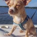 Rebecca Sadowski - Facebook