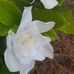 Rebecca Sain - Facebook