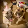 Becky Salinas - @becky_she_did - TikTok