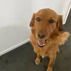 beckysalisbury23 - @beckysalisbury23 - TikTok