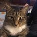 Becky Salyers - Facebook