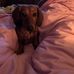 Rebecca Sammons - Facebook