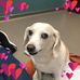 Becky Sams - Facebook