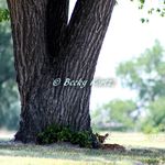 Becky Samuelson - @besamm5 - Instagram