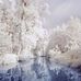 Rebecca Sanborn - Facebook