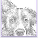 Becky's Animal Care - @beckysanimalcare - Instagram