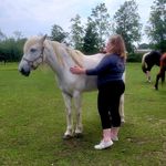 Becky's Animal Care & Rescue - @beckysanimalrescue - Instagram