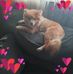 Becky Sapp - Facebook