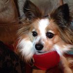 Becky Sapp - @beckysapp9 - Instagram