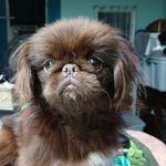 Becky Sapp - @sapp5478 - Instagram