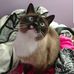 Rebecca Sappington - Facebook