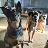 Becky Sargent - @becky.sargent - TikTok