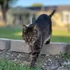 sargent.becky - @sargent.becky - TikTok