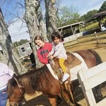 @beckysass.antos - Instagram