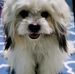 Becky Saycon - Facebook
