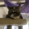 Becky SayWho - @beckysaywho - TikTok
