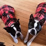 Becky Sayer - @bec3756 - Instagram