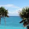 Becky Scales - @becky.scales - TikTok
