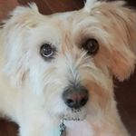 Becky Hawse Schaeffer - @becky.h.schaeffer - Instagram