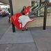 Becky Schafer - Facebook